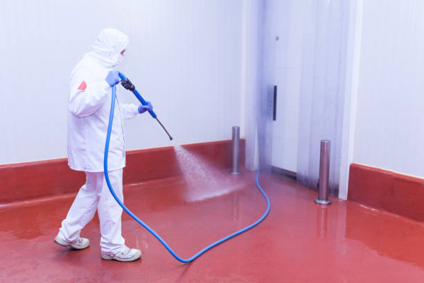 Best Boat and Dock Cleaning  in Stone Park, IL